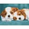 Diamond Dotz® Intermediate Little Champs Diamond Painting Kit